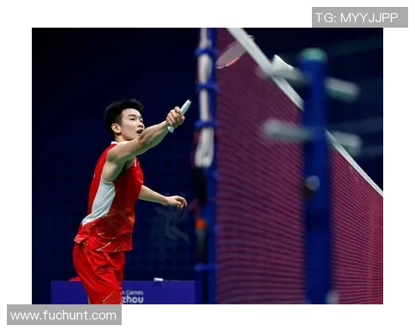 杭州羽毛球队在全国锦标赛中的个人能力分析与表现评估